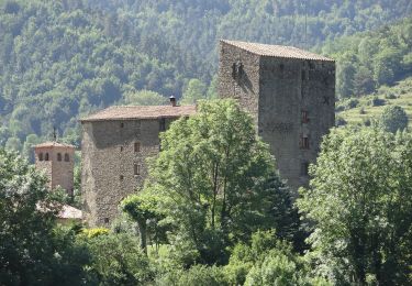 Percorso A piedi Vallfogona de Ripollès - Trescant per la Serra de Puig d'Estela - Photo