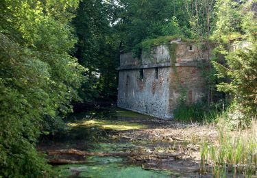 Tocht Te voet Kottingbrunn - Laufend geniessen (Höllrigl Kottingbrunn) - Photo