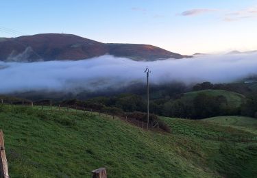 Tour Wandern Saint-Étienne-de-Baïgorry - Oylarandoy et Munhoa - Photo