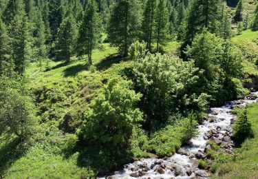 Randonnée Marche nordique Névache - Foncouvert Refuge Chardonnet- Retour par le ruisseau duChardonnet - Photo