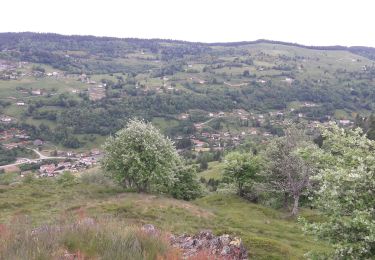 Randonnée Marche La Bresse - Pour aller au marché de la Bresse  - Photo