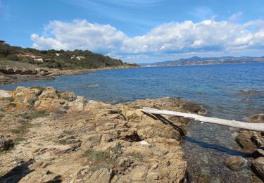 Tocht Stappen Saint-Tropez - St Tropez littoral - Photo