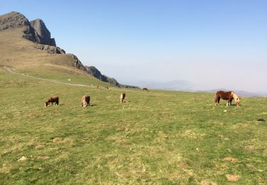 Trail Walking Lecumberry - Okabe magique  - Photo