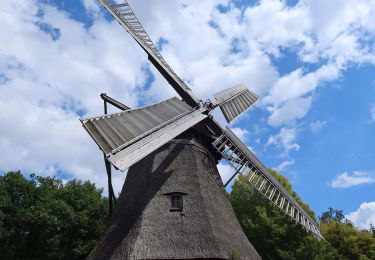 Tour Zu Fuß Mechernich - EifelSchleife Eickser Busch - Photo