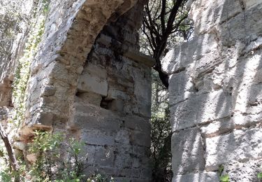 Trail Walking Le Pègue - le pegue - Photo