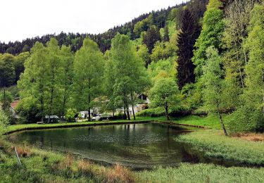 Tocht Te voet Elmstein - DE-4 - Photo