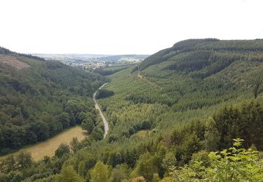 Trail Equestrian Saint-Hubert - Chevauchée de la Bonne Dame - Photo