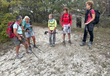 Trail sport Mirabel-et-Blacons - Charsac - Photo