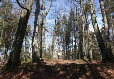 Randonnée A pied Bergen - Rundweg Bergen 3 - Photo