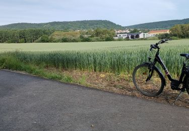 Trail Road bike Saulny - zone euromoselle - Photo