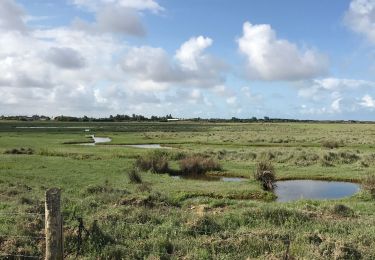 Tocht Stappen Bretteville-sur-Ay - 2019 août Normandie mercredi matin - Photo