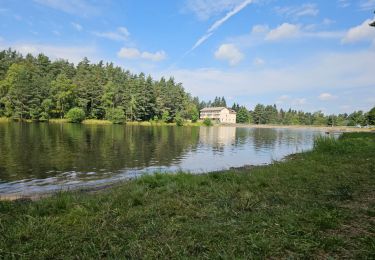 Tour Wandern La Chaise-Dieu - La Chaise Dieu, Mozun, Baffour, Lac de la Tour (boucle)  - Photo