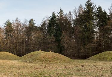 Percorso A piedi Strullendorf - Weg durch die Siedlungsgeschichte - Photo