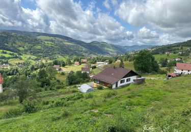 Randonnée Vélo électrique Gérardmer - Les lacs de Gérardmer - Photo