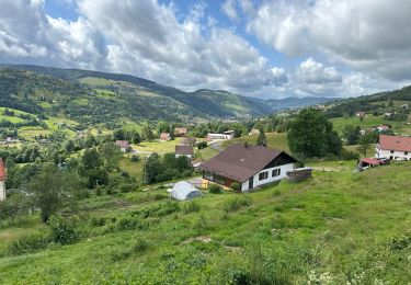 Tour Elektrofahrrad Gerdsee - Les lacs de Gérardmer - Photo