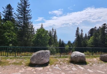 Tour Wandern Diedolshausen - les 3 lacs au départ du col du calvaire - Photo