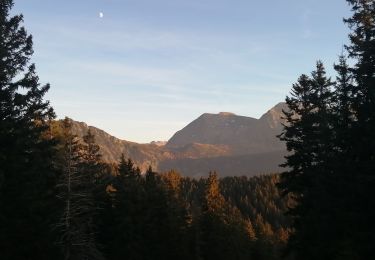 Trail Walking Chamrousse - lac affray - Photo