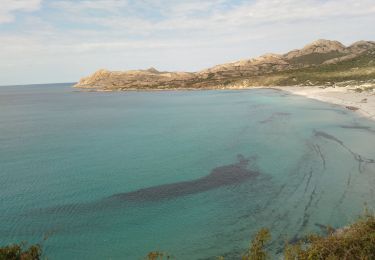 Tocht Stappen Palasca - corse - Photo