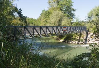 Tocht Te voet Eggenwil - Sulz Fähre - Bremgarten - Photo