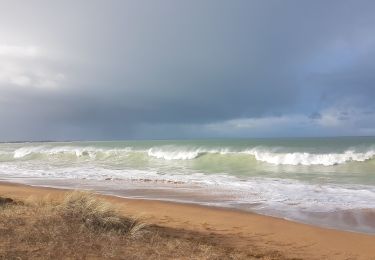 Trail Walking Saint-Georges-d'Oléron - gautrelle - Photo