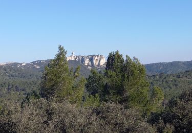 Excursión Senderismo Saint-Rémy-de-Provence - Saint Remy - les Baux  - Photo