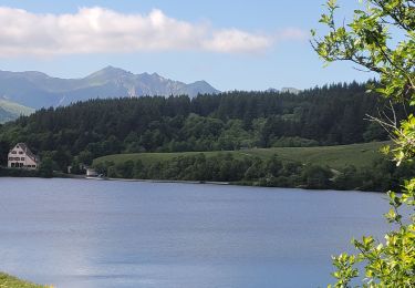 Percorso Marcia Orcival - 290522 Lac de Servière / ferme de la tâche  - Photo