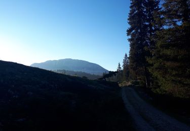 Tour Wandern Saint-Agnan-en-Vercors - Grand Veymont - Photo