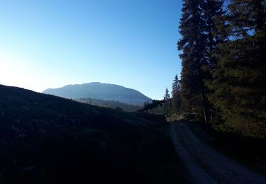 Trail Walking Saint-Agnan-en-Vercors - Grand Veymont - Photo