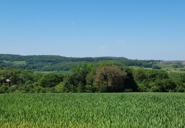 Tour Wandern Oricourt - oricourt, oppenans,  aillevans  - Photo