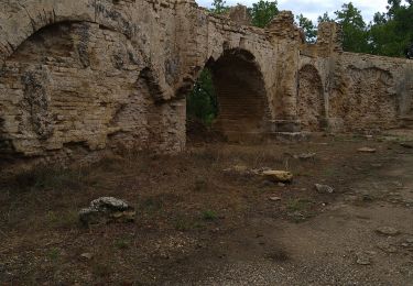 Trail Walking Vers-Pont-du-Gard - Pont du Gard - Photo