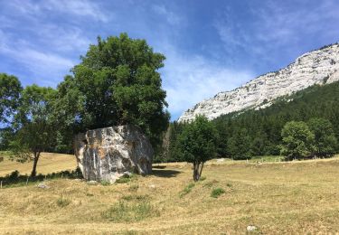 Tocht Stappen Rencurel - Rencurel col de Romeyère 23072019 - Photo