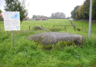 Tocht Te voet Wallenhorst - Hollager Rundwanderweg Nr.4 - Photo