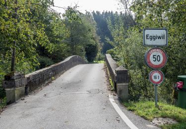 Tour Zu Fuß Eggiwil - Heidbüehl - Pfyffer - Photo