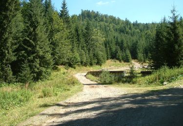 Tour Zu Fuß  - Stâna de Vale-Casc. Moara Dracului - Photo