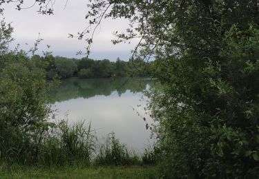 Excursión Senderismo Aix-Villemaur-Pâlis - Villemaur sur Vanne - Photo