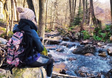 Tour Wandern Jalhay - Légendes et forêt enchantée à Solwaster. (Promenade 57)  - Photo