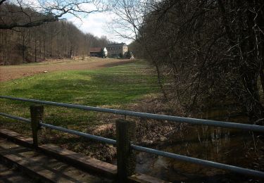 Percorso A piedi Seelitz - Rundweg Porschel - Eselsberg Döhlen - Photo