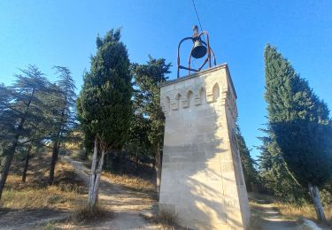 Randonnée Marche Cadenet - Châteaux de Lourmarin et Cadenet - Photo