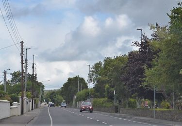 Tocht Te voet Tralee Municipal District - Slí na Sláinte Tralee - Photo