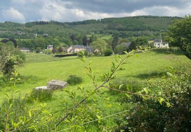 Excursión Senderismo Olne - Fraipont trasenster Nessonvaux - Photo