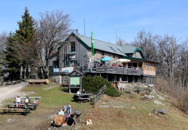 Tour Zu Fuß Gemeinde Furth an der Triesting - Staffbrücke - Staffgraben - Kieneck (Enzianhütte) - Photo