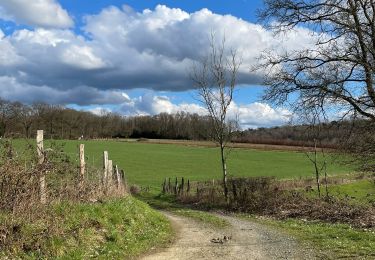 Excursión Senderismo Olne - Fenderie Noirfalise Fraipont Hansez - Photo