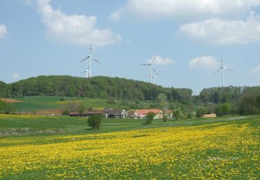 Excursión A pie Heidenheim - Quellenweg (Hahnenkamm) - Photo