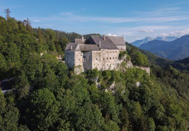 Trail On foot Micheldorf in Oberösterreich - Kulturweg - Photo