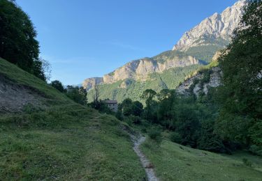 Trail Walking Saldes - 2025-06-20 # Cavalls del Vent: Gresolet - Sant Jordi - 17kms - Photo