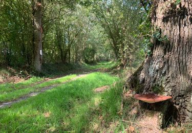 Trail Walking Domjean - Rando gorge de la Vire  - Photo
