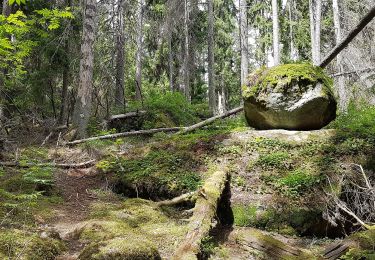 Percorso A piedi Sconosciuto - Trehörningsrundan - Photo