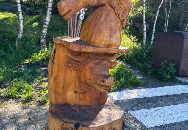 Percorso A piedi  - Andorre : Parc de Sorteny - Photo