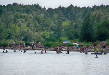 Percorso A piedi Grabów nad Pilicą - Bory Sosnowe okolic Warki - ścieżka - Photo