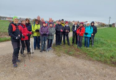 Excursión Marcha nórdica Sundhoffen - 1411 - Photo